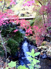 20101121mitake1.jpg