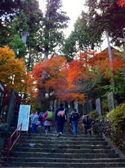 20101121mitake2.jpg