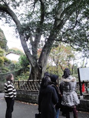 DSC08343.JPG
