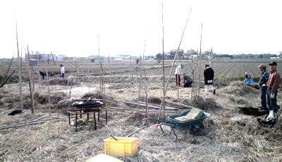 nouen20110402_00.jpg